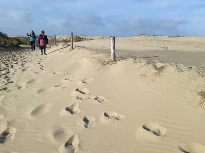 De Panne (België)